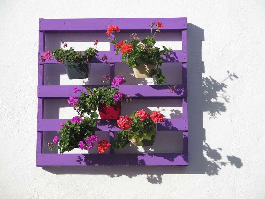 Purple Wall trellis planter with 5 potted plants