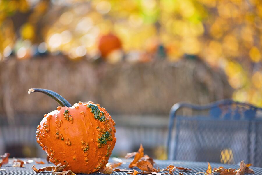 Autumn leaves and gourd on patio table