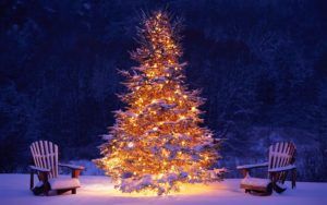 easy outdoor christmas decorating ideas - Econodek