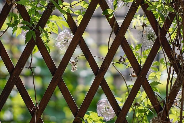 Top Tips to Increase Vinyl Deck Privacy